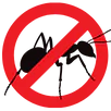 Ant Control Taylors Lakes