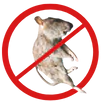 Dead Animal Removal Taylors Lakes
