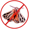 Moth Control Taylors Lakes